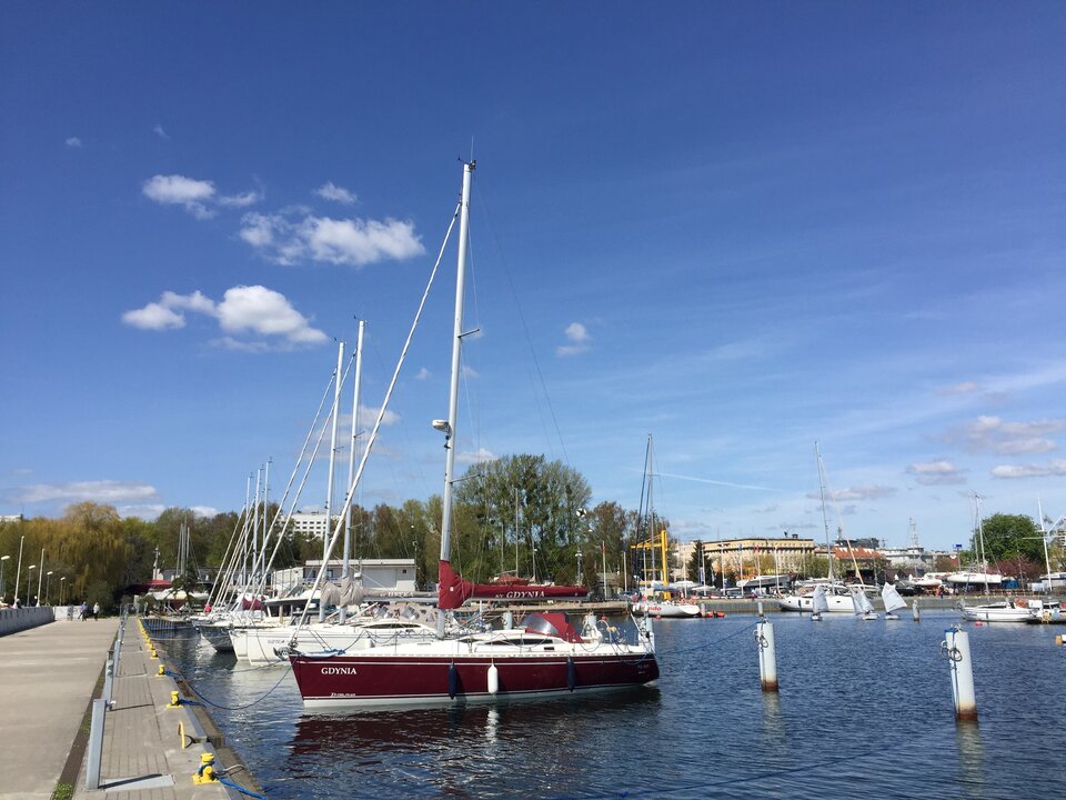 Basen jachtowy. - falcons