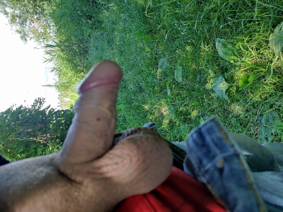 IMG_20220621_163117.jpg - krzyssuu