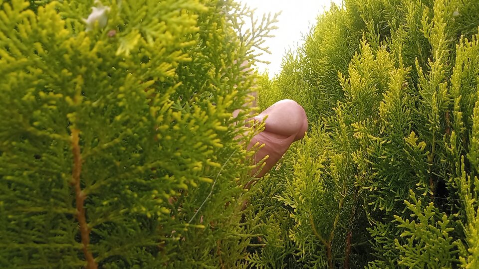 tam coś jest ! - mmmisio