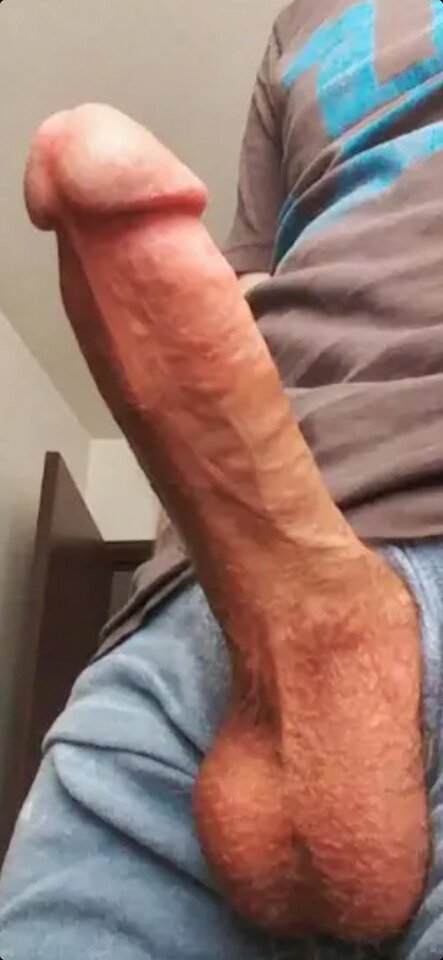 kazio198661-18226.jpg - bigmeen