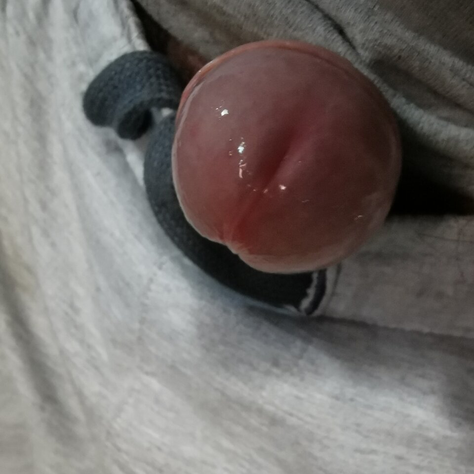 IMG_20220622_143105.jpg - Zi0001