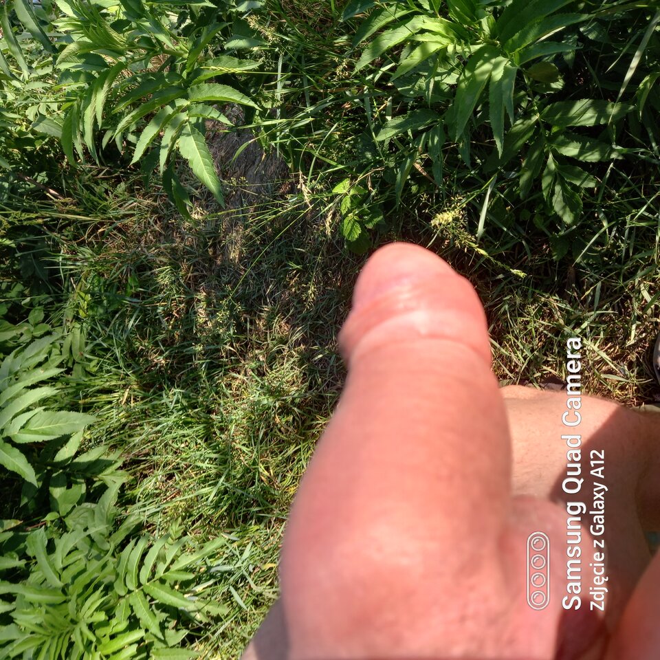 20220622_180319.jpg - amfeti35