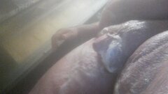 IMG_20220623_125132.jpg