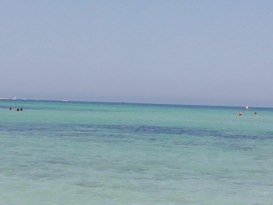 IMG_20190802_104517_BURST001_COVER.jpg - kaktusic