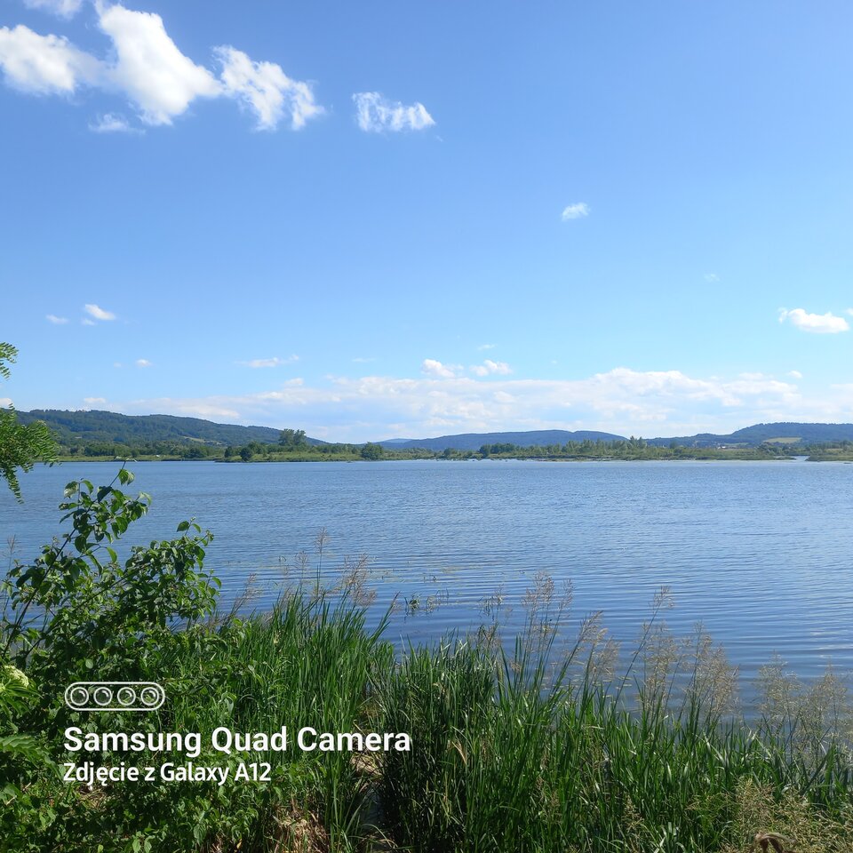 20220624_154138.jpg - amfeti35