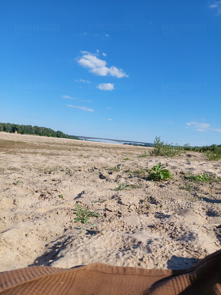 16560845878198658896429106290892.jpg - hardkorowi123