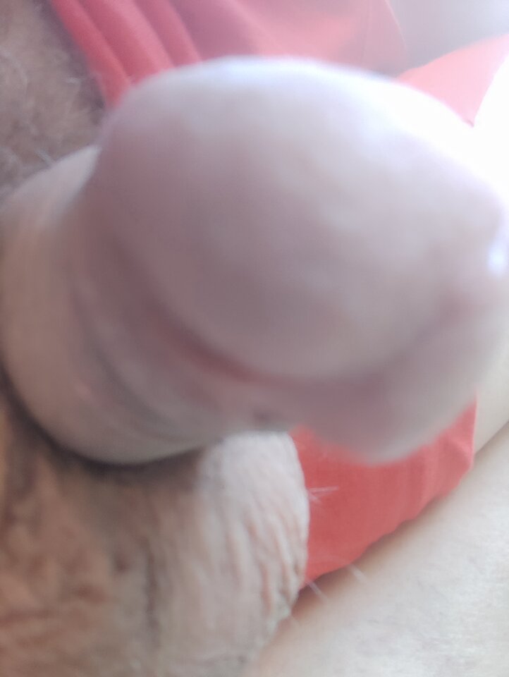 IMG_20220624_184825.jpg - 12jm