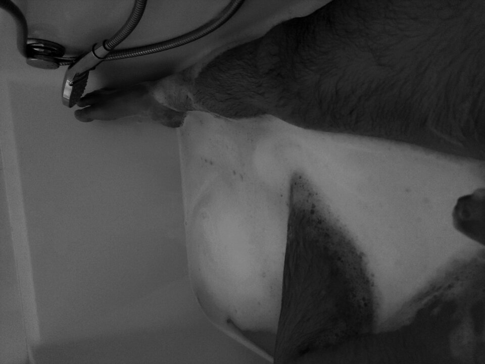 IMG_20220622_230629.jpg - braj