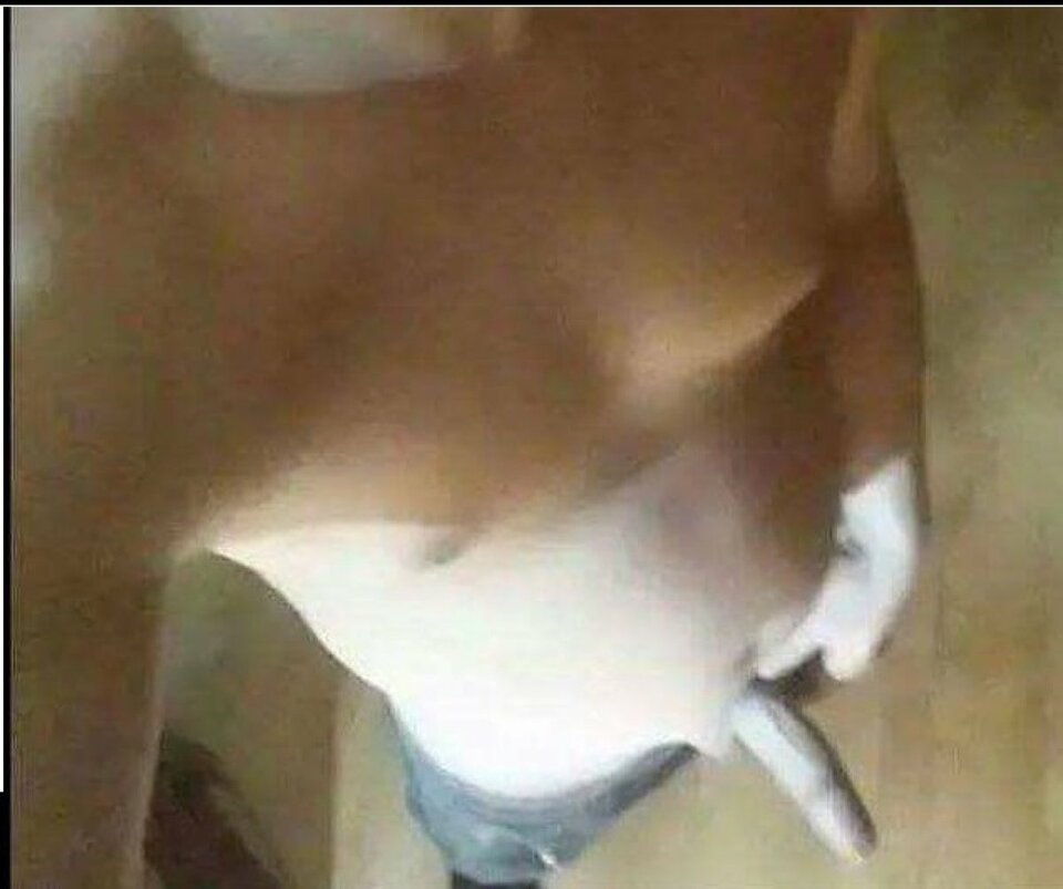 big_e5f7b1ff3f4b8322c6b376a9a2257781.jpg - Takion6969