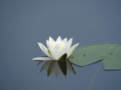 DSC03411.JPG