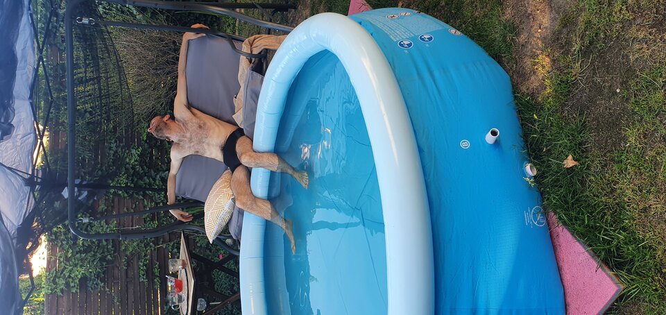 20220623_190349.jpg - lionheart88