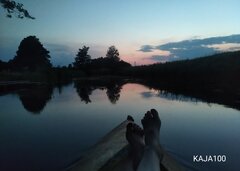 IMG_20220625_222140.jpg