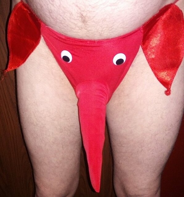 słoń - jeszcze_razmy