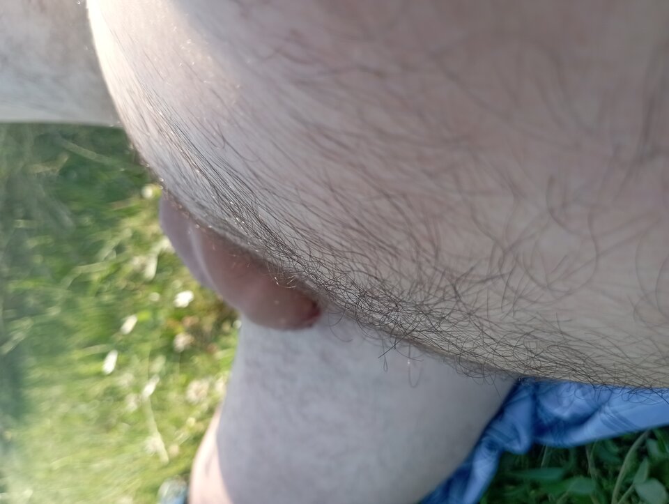 IMG_20220626_174230.jpg - Kolo1029