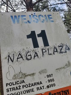 IMG_20220626_224321.jpg