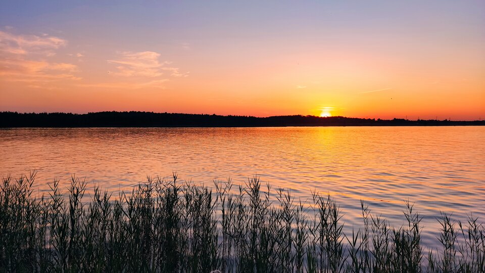 IMG_20220626_204421.jpg - mir_an