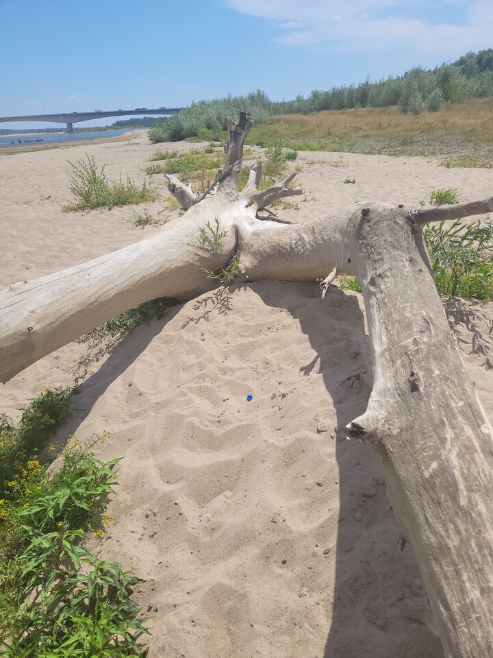 16563280168753646878289248092669.jpg - jarek974