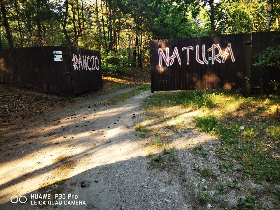 IMG_20220626_181549.jpg - Saffina