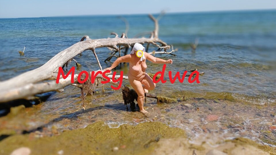 Zbiornik 1732 - Morsy_dwa