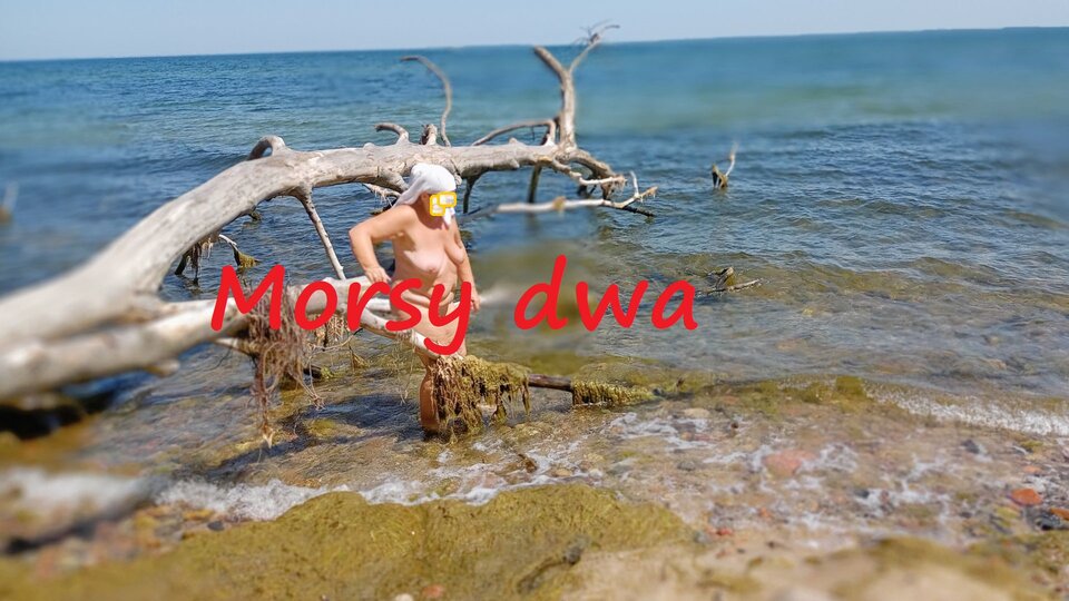 Zbiornik 1731 - Morsy_dwa