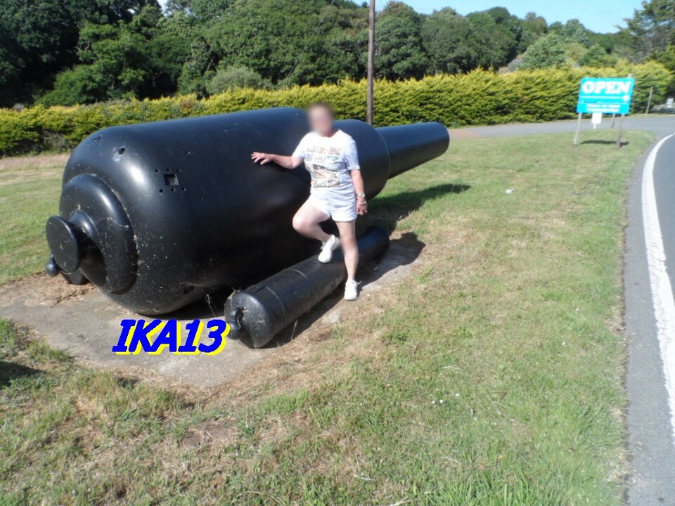 SAM_3995.JPG - ika13