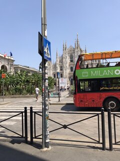 IMG_4833.JPEG