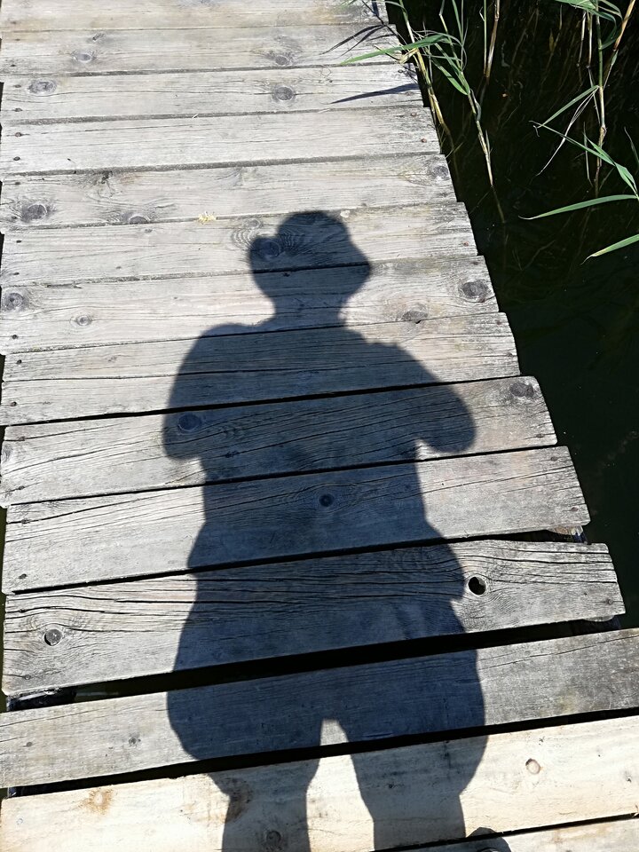 IMG_20220628_141458.jpg - Gimlii73