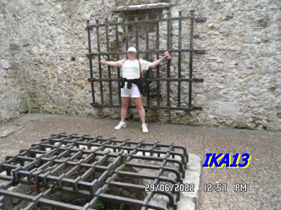 SAM_4021.JPG - ika13