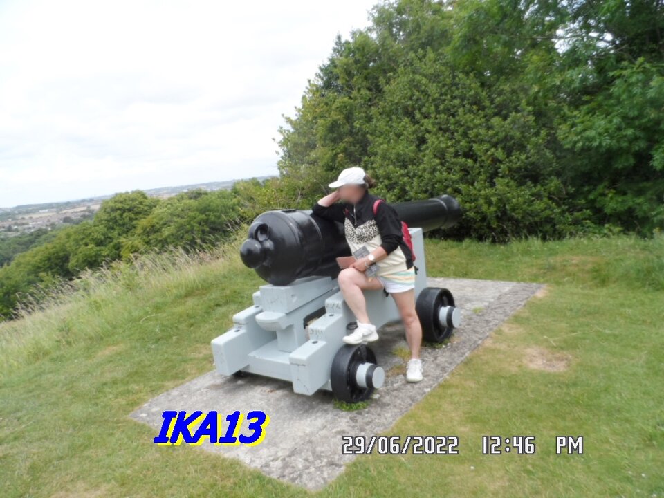 SAM_4020.JPG - ika13