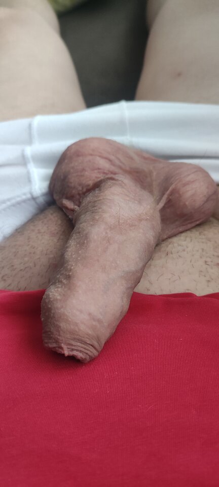 16565225909007568302677721611351.jpg - Cheeeetny