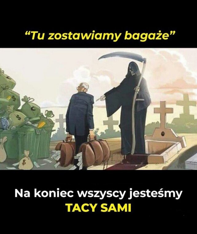 szary_wilk_