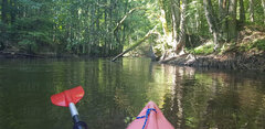 IMG-20180723-WA0026.jpg