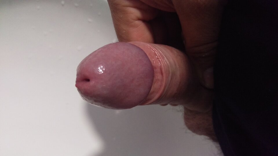 IMAG1054.jpg - Tygryseekp