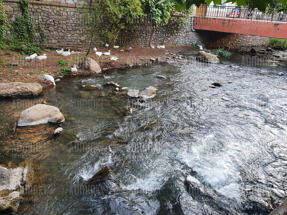 20220629_203445.jpg - Adminki