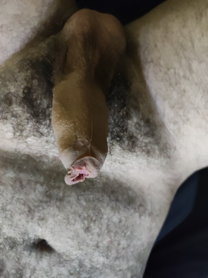 16565351254707105946770213084017.jpg - Kamilo7ab