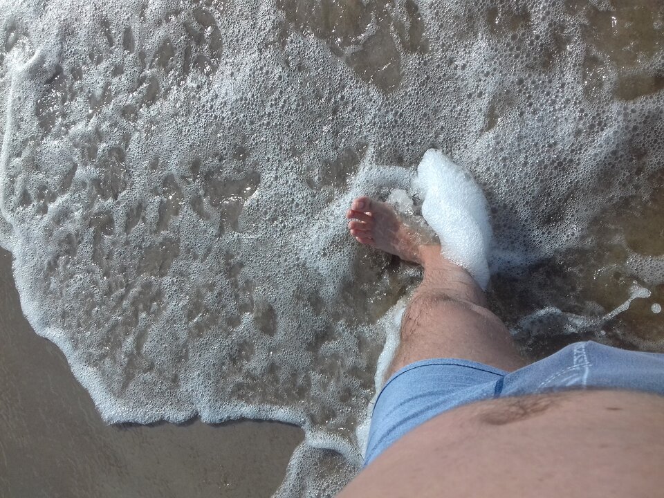 20180813_164247.jpg - castorp603