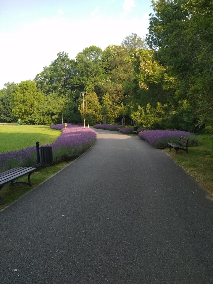 IMG_20220630_065450.jpg - Jorguu