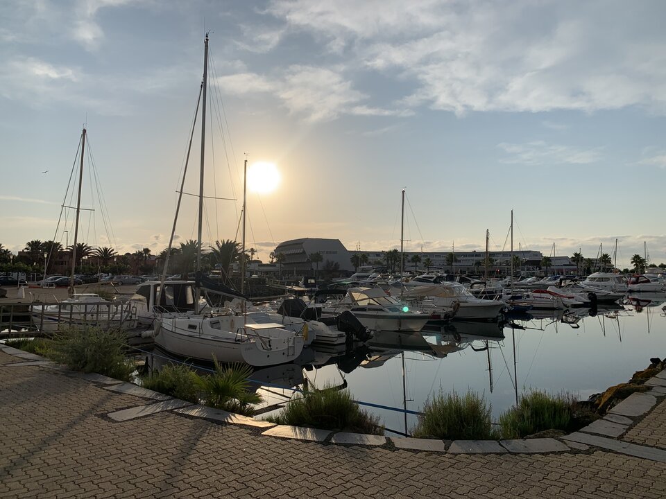 0F538111-3AD6-43D5-82F5-056FFE511ABD.jpeg - MarqisX