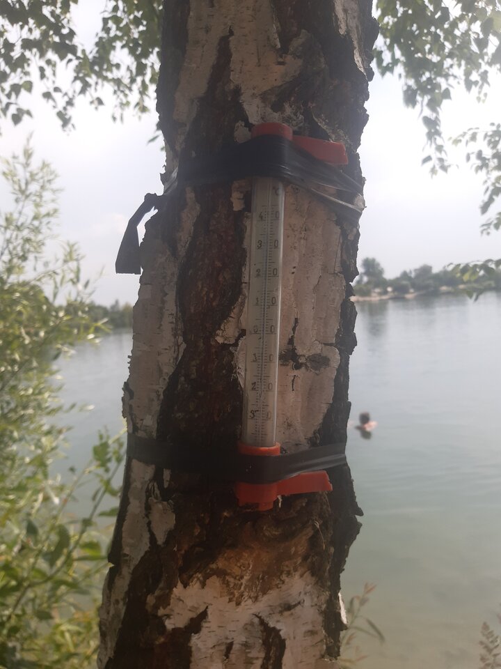 20220629_151405.jpg - megalove