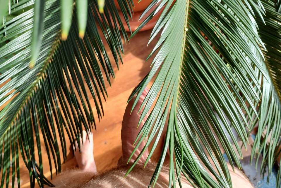 IMG_20220315_123525040_HDR.jpg - zadbanyoralny