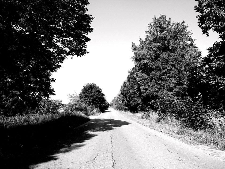 2345.jpg - LewePlucoSmoka