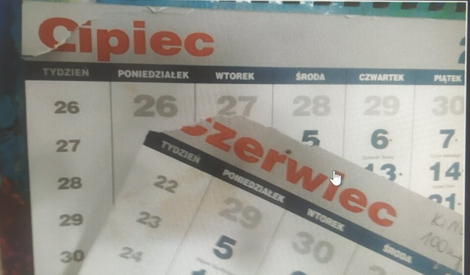 IMG_20220701_122424.jpg - miki84wp