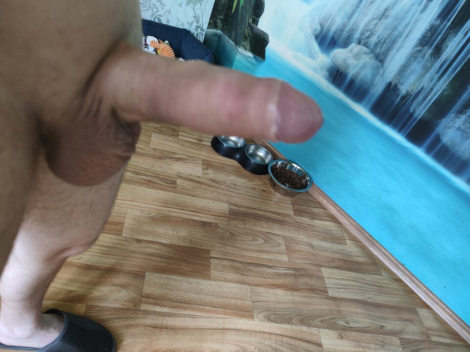 16566783701565034493443674067734.jpg - Ja198504