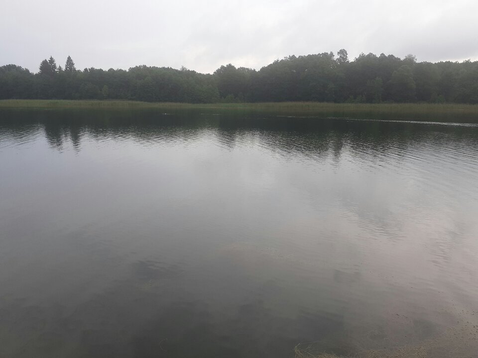 20220701_194459.jpg - 19slaw79