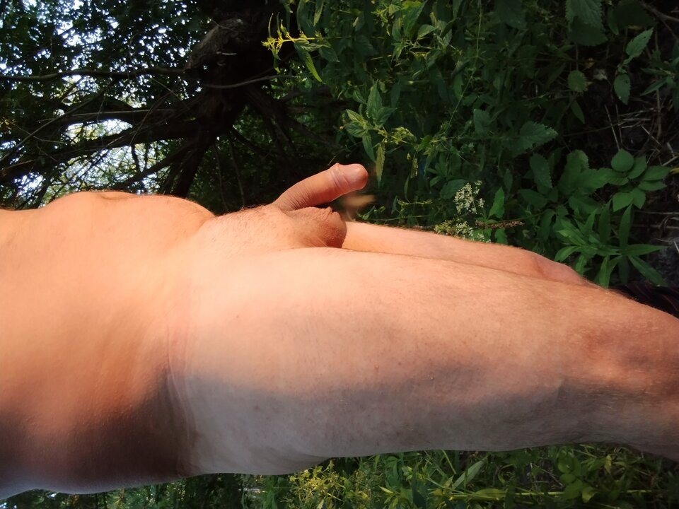 IMG_20220626_200524777.jpg - jan2121