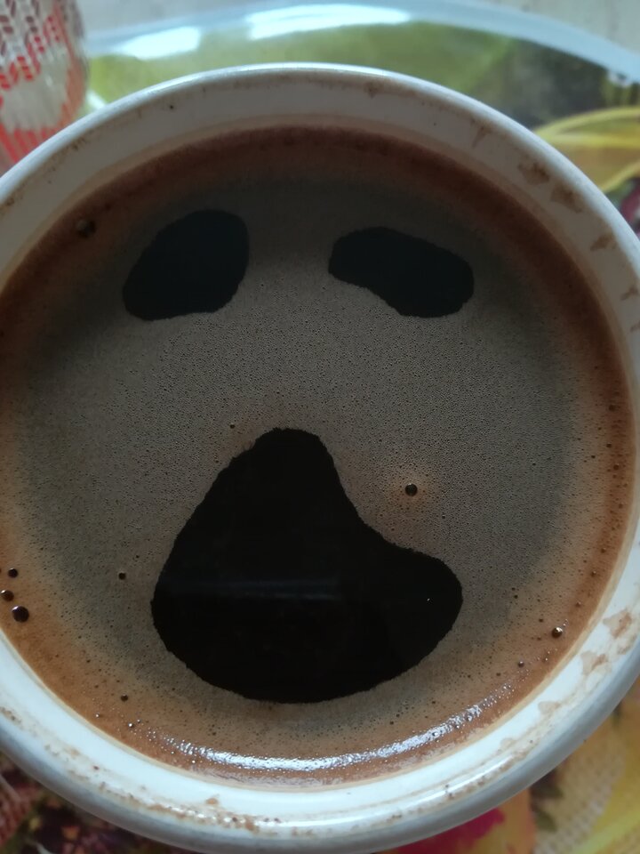 IMG_20220702_093708.jpg - wojtek198228