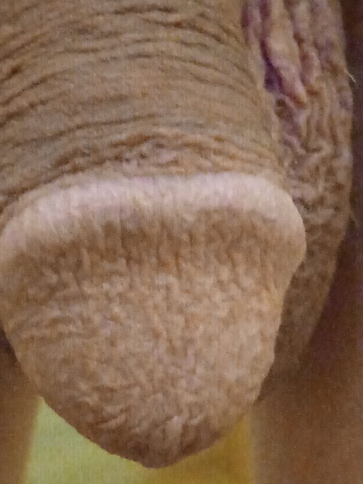 IMG_20220702_075338.jpg - 19Grzegorz55