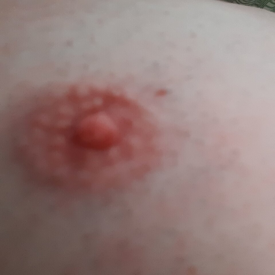 16568257387203128172649053517173.jpg - Palciusia