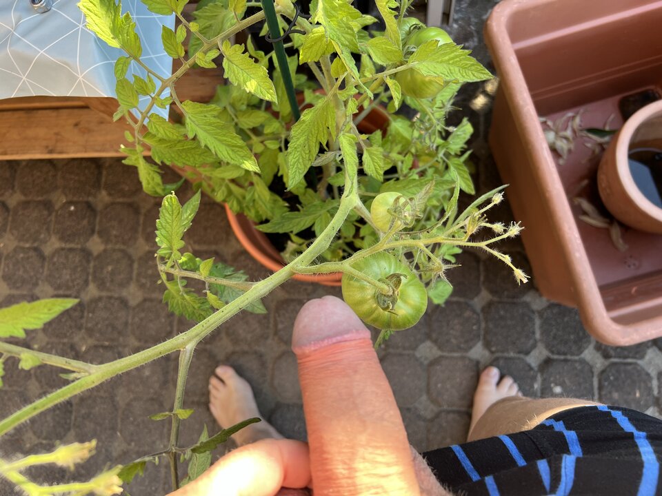 B9D5350A-B151-4A24-9BDB-DC2EFDDCA2DA.jpeg - nrw670n