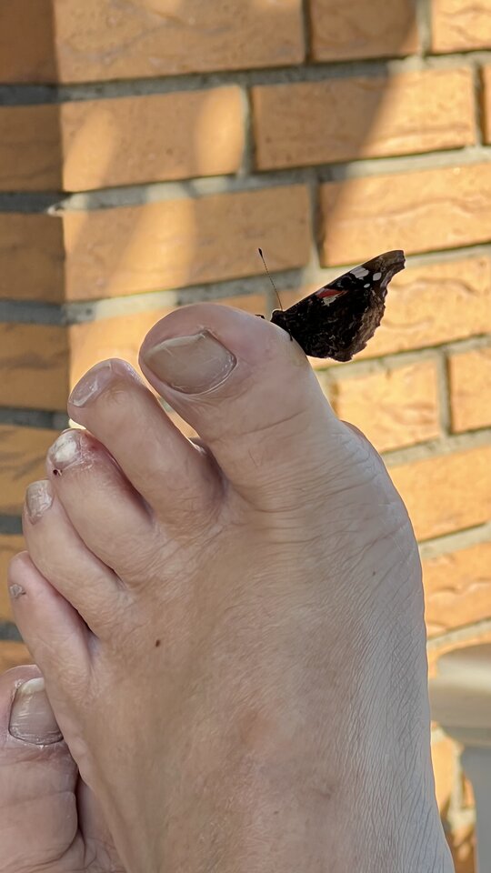 935FE395-0B6E-44EB-8BCA-3B5916454DF4.jpeg - nrw670n